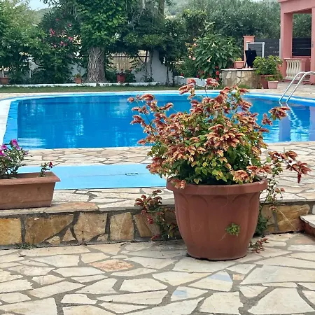 Elena Pool 3*