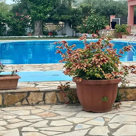 Elena Pool מלון דירות